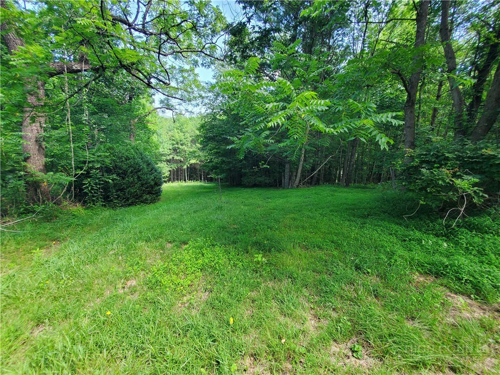 886 Hanging Rock Road Spruce Pine, NC 28777 - Photo 45 of 50