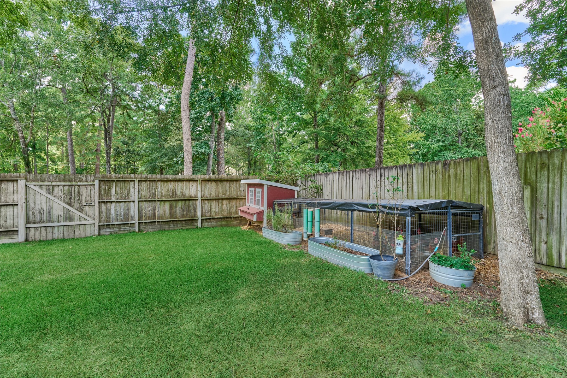 8 Wind River Court Conroe, TX 77384 - Photo 41 of 50 Chickens are welcome in Lake Creek Forest! Chicken coop and run conveys (chickens not included).