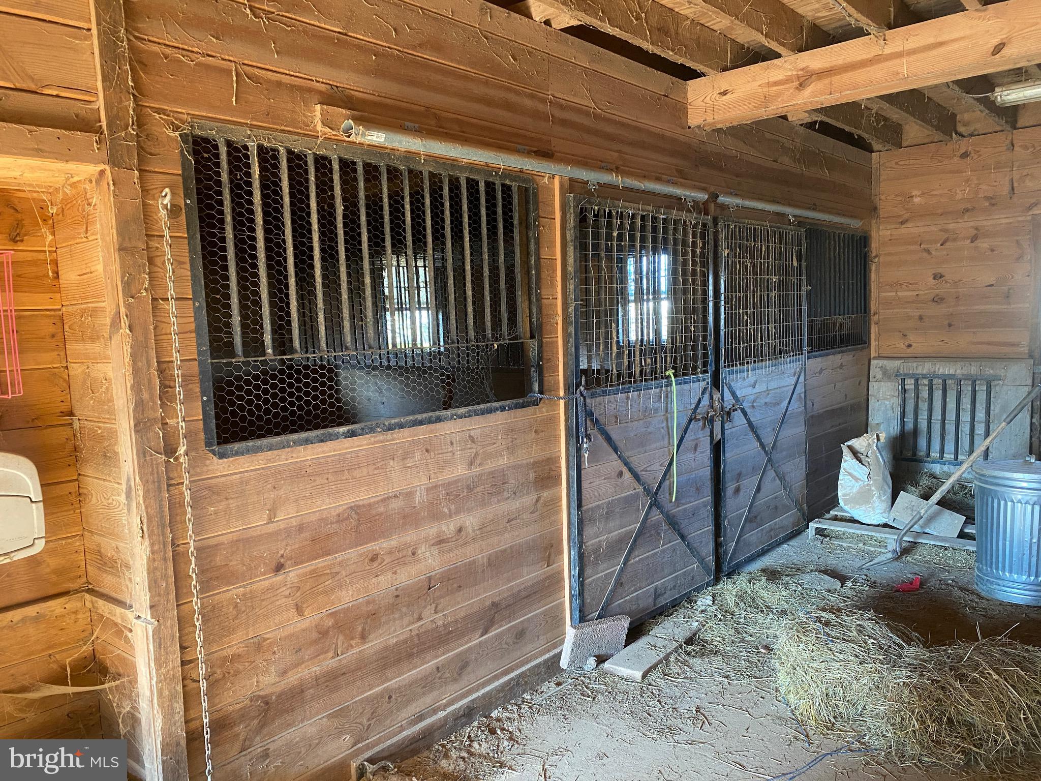 585 Media Road Oxford, PA 19363 - Photo 7 of 48 Left side stalls
