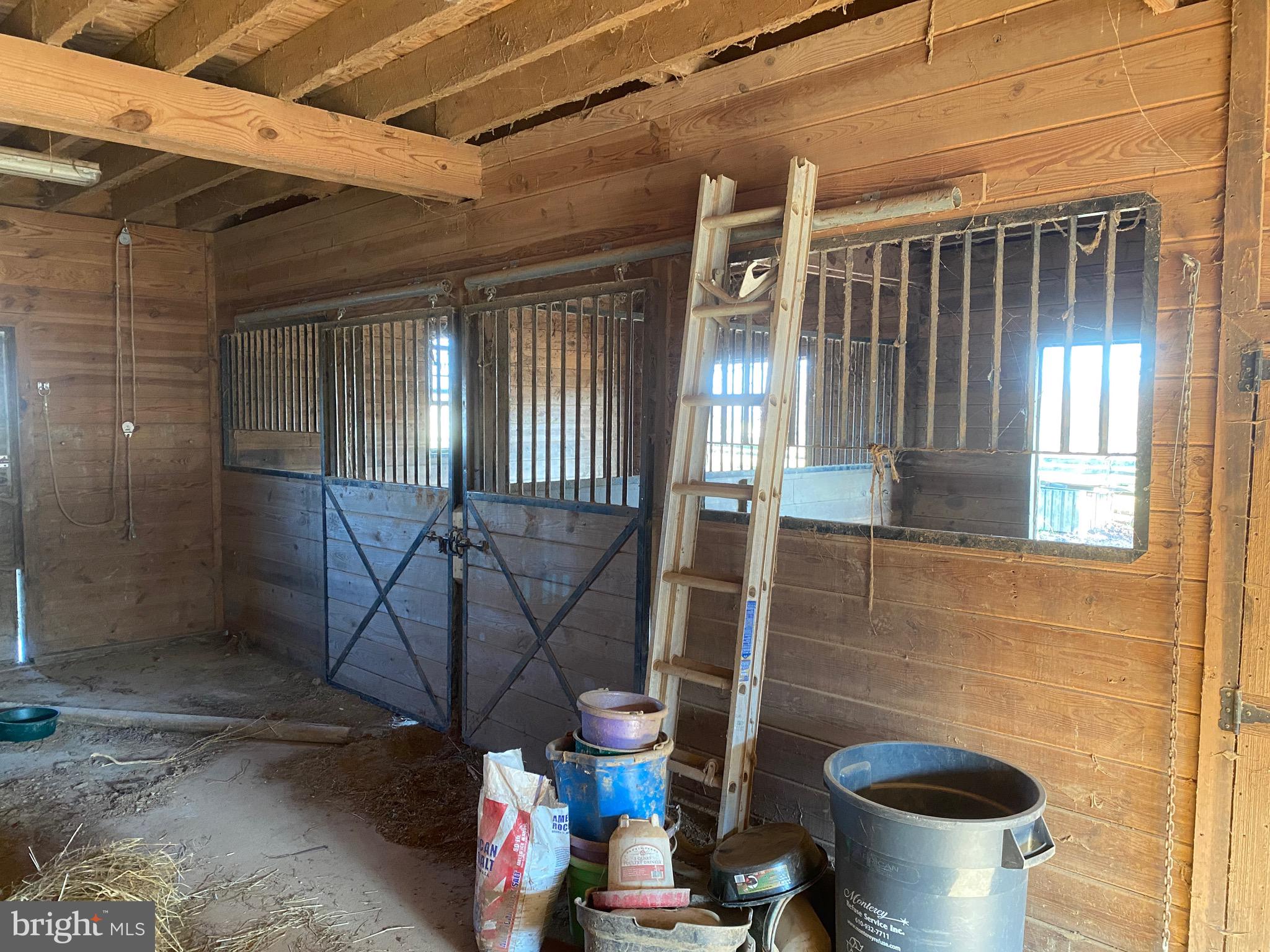 585 Media Road Oxford, PA 19363 - Photo 8 of 48 Right side stalls
