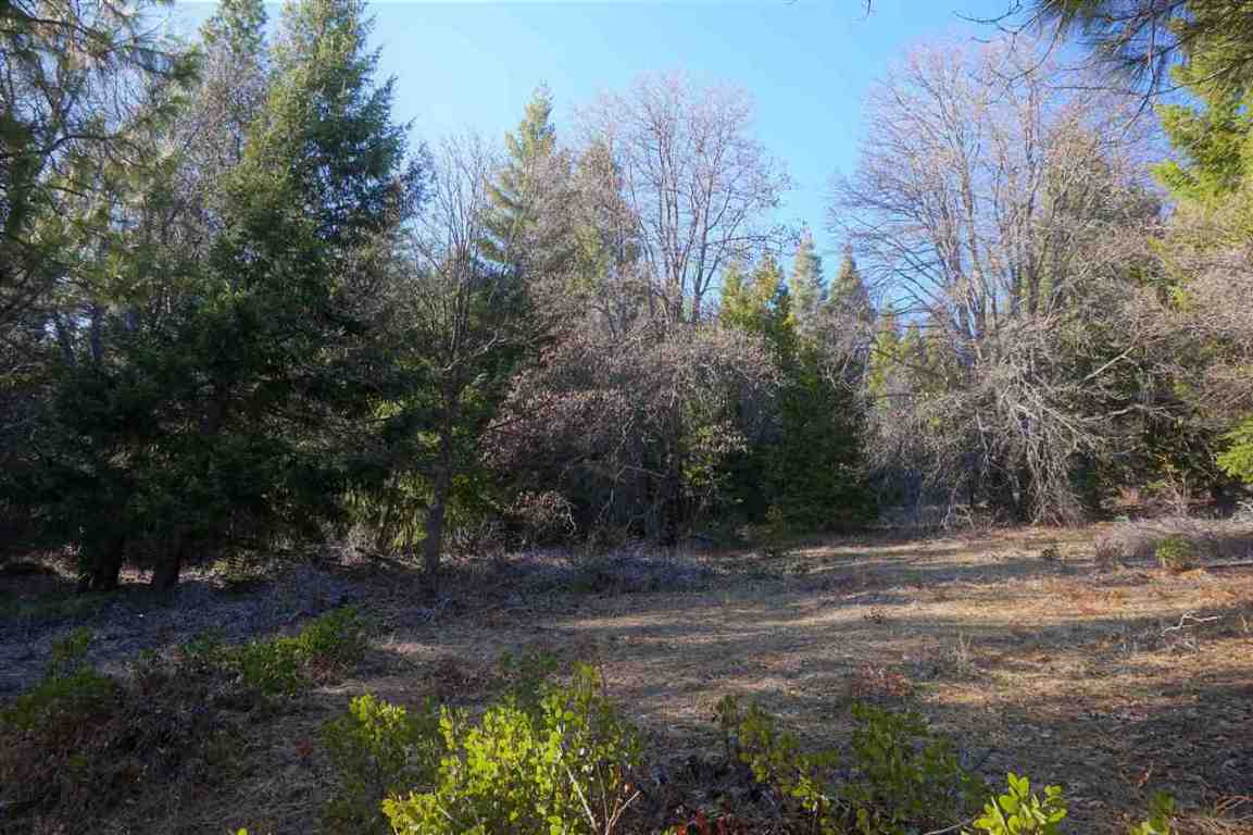 40-acres Off Deetz Road Mount Shasta, CA 96067 - Photo 21 of 25 Gallery Image 21