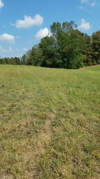 2359 Strawhill Road Southeast, Unit A Cleveland, TN 37323 - Photo 1 of 3 20190930171426051618000000-o