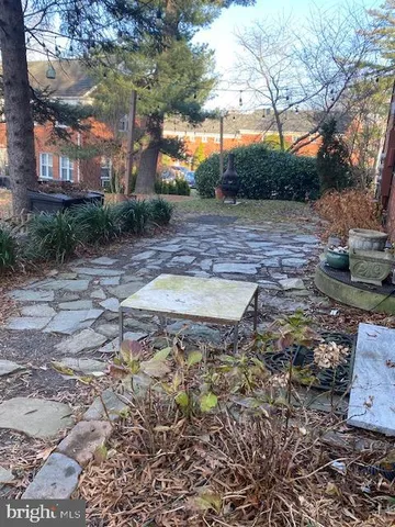 a view of a yard with plants and trees