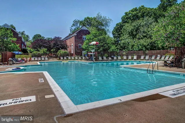 a view of a swimming pool with a garden and plants
