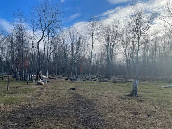 $89,999 | 2141 North Mason Road, Ravenna, MI 49451