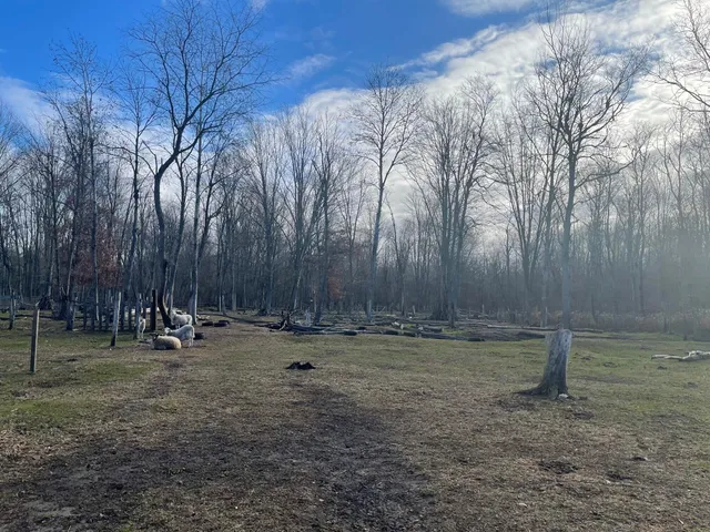 $89,999 | 2141 North Mason Road, Ravenna, MI 49451