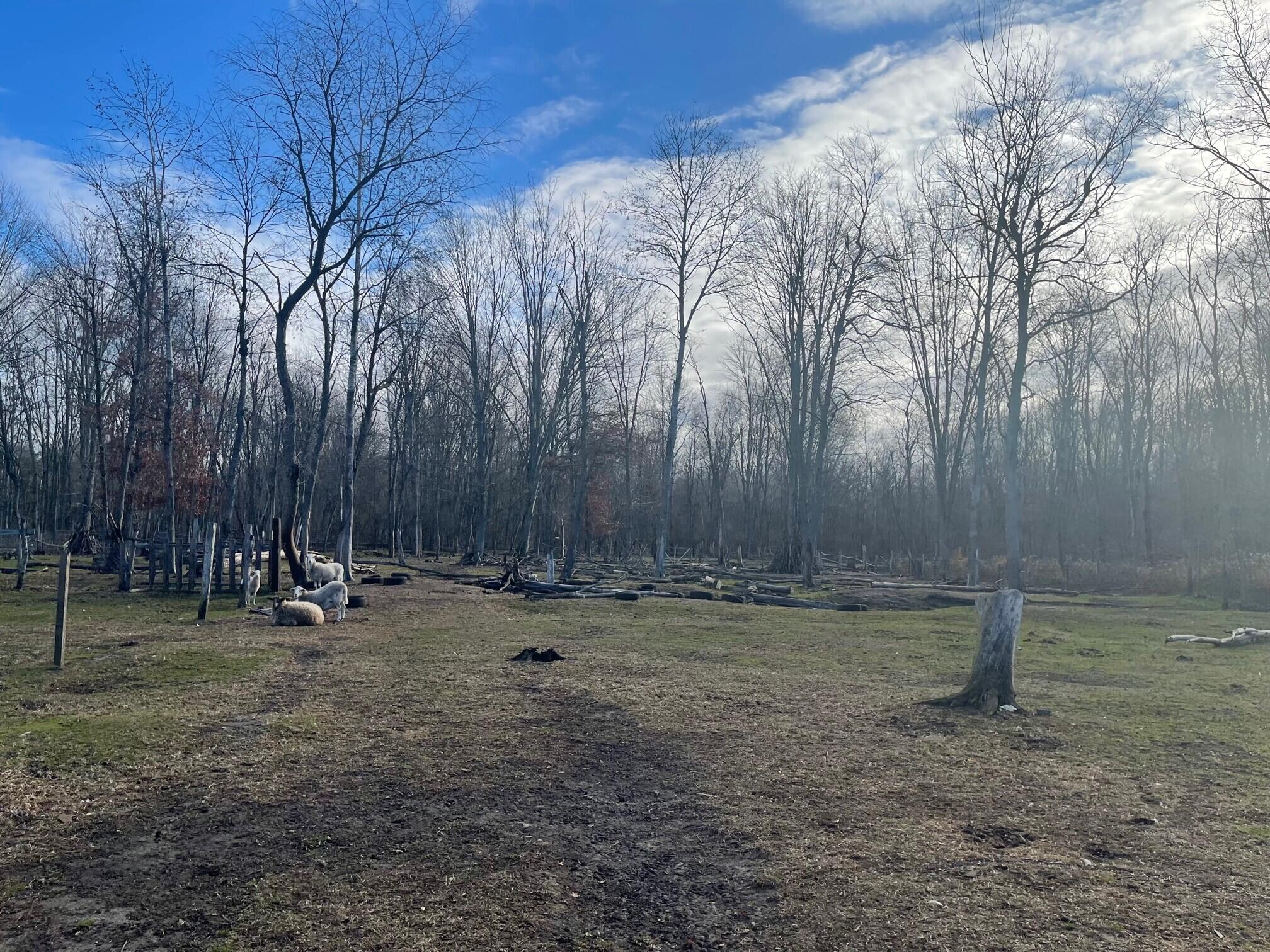 2141 North Mason Road Ravenna, MI 49451 - Photo 5 of 7 5