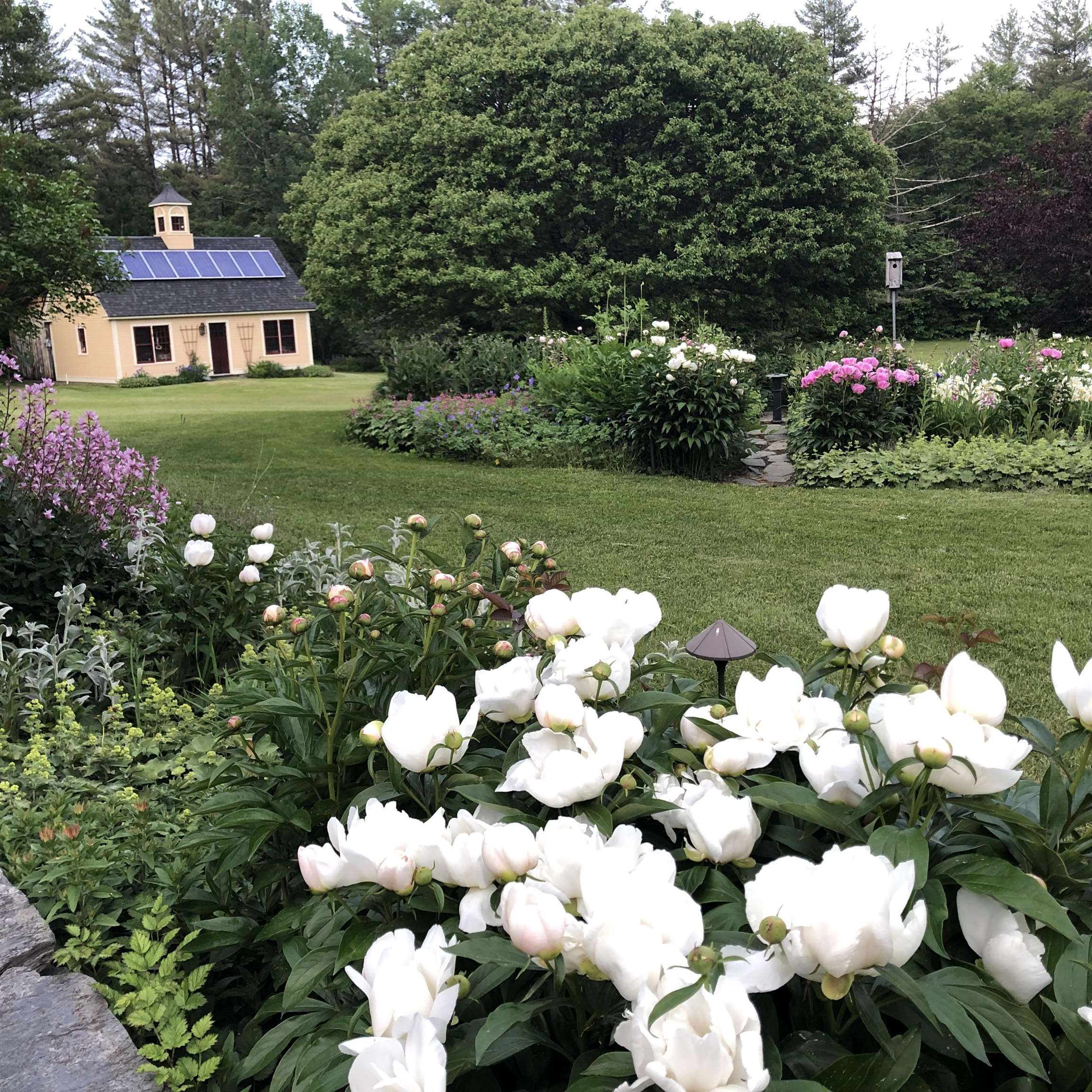 719 Walker Hill Road Barnard, VT 05068 - Photo 57 of 59