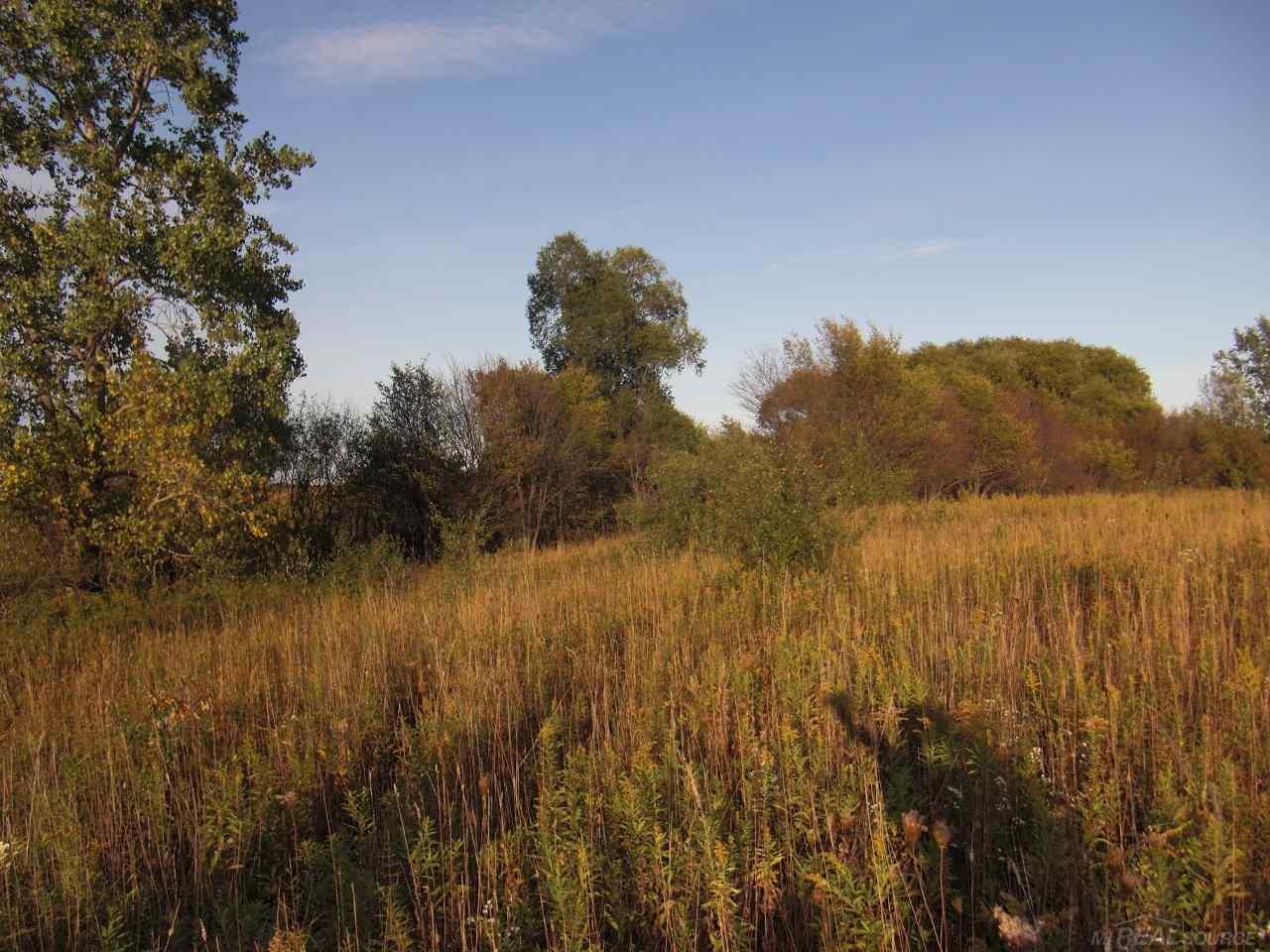 0 Russell Road Palms, MI 48465 - Photo 9 of 13