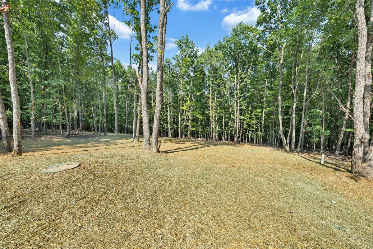 1114 Thornblade Way Blue Ridge, VA 24064 - Photo 8 of 38 Back yard