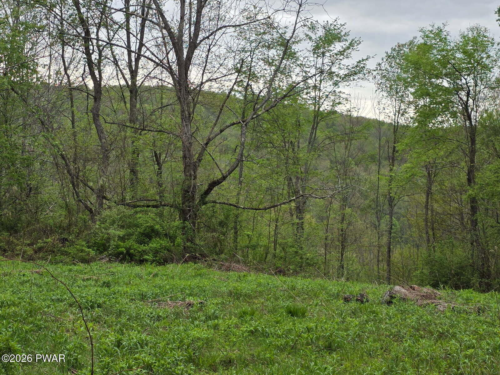 33 Bucks Road Susquehanna, PA 18847 - Photo 18 of 18