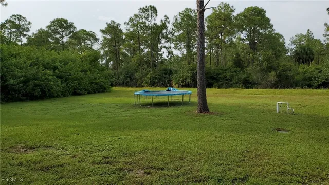 a view of a park with large trees
