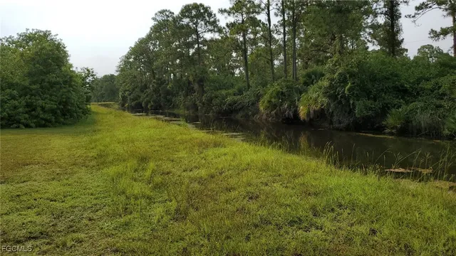 a view of a lake with a yard and large trees