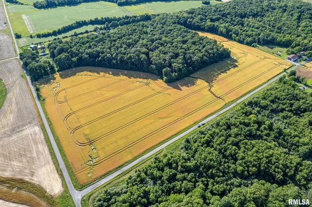 $325,000 | 0 1325 N Road, Unit COUNTY, Cisne, IL 62823