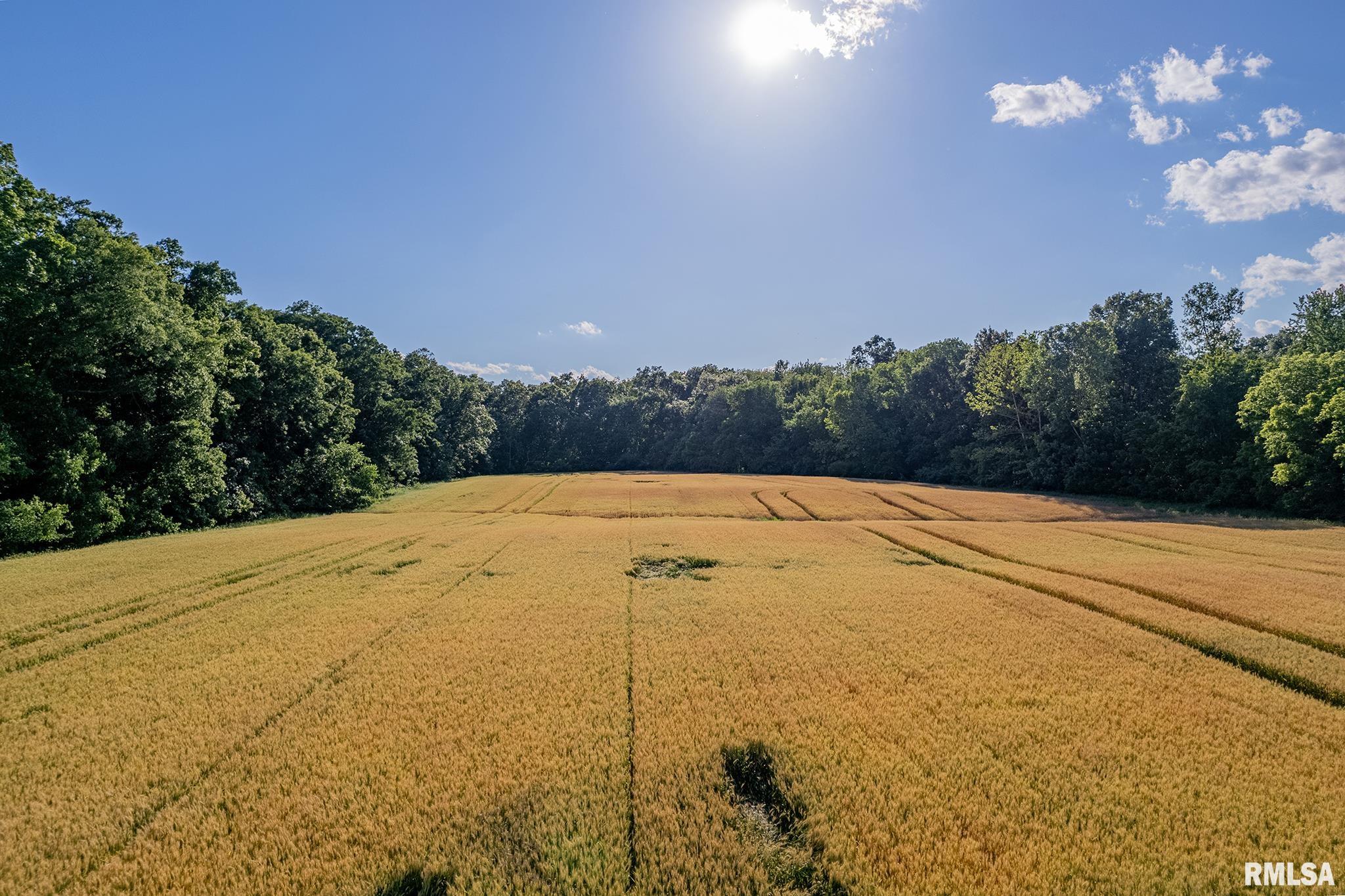 0 1325 N Road, Unit COUNTY Cisne, IL 62823 - Photo 11 of 28