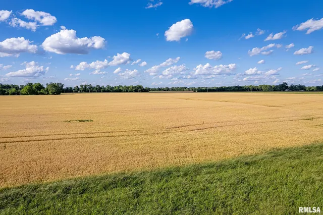 $325,000 | 0 1325 N Road, Unit COUNTY, Cisne, IL 62823