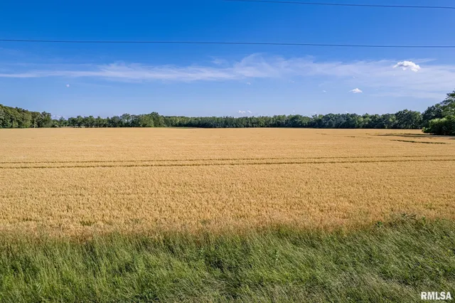 $325,000 | 0 1325 N Road, Unit COUNTY, Cisne, IL 62823