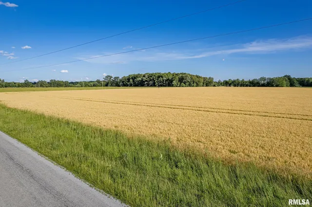 $325,000 | 0 1325 N Road, Unit COUNTY, Cisne, IL 62823