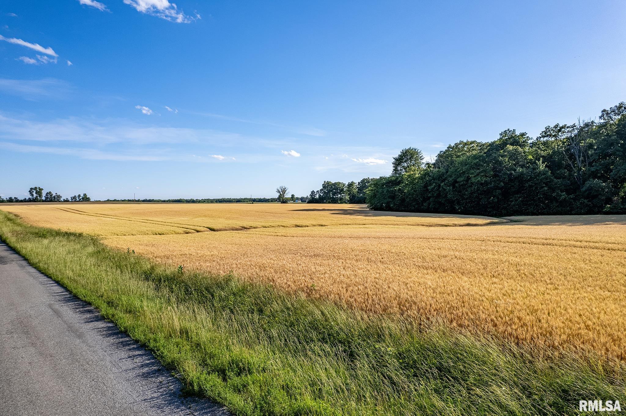 0 1325 N Road, Unit COUNTY Cisne, IL 62823 - Photo 18 of 28