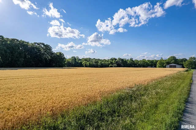 $325,000 | 0 1325 N Road, Unit COUNTY, Cisne, IL 62823