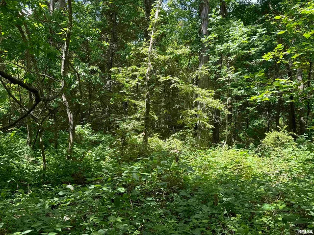 $325,000 | 0 1325 N Road, Unit COUNTY, Cisne, IL 62823