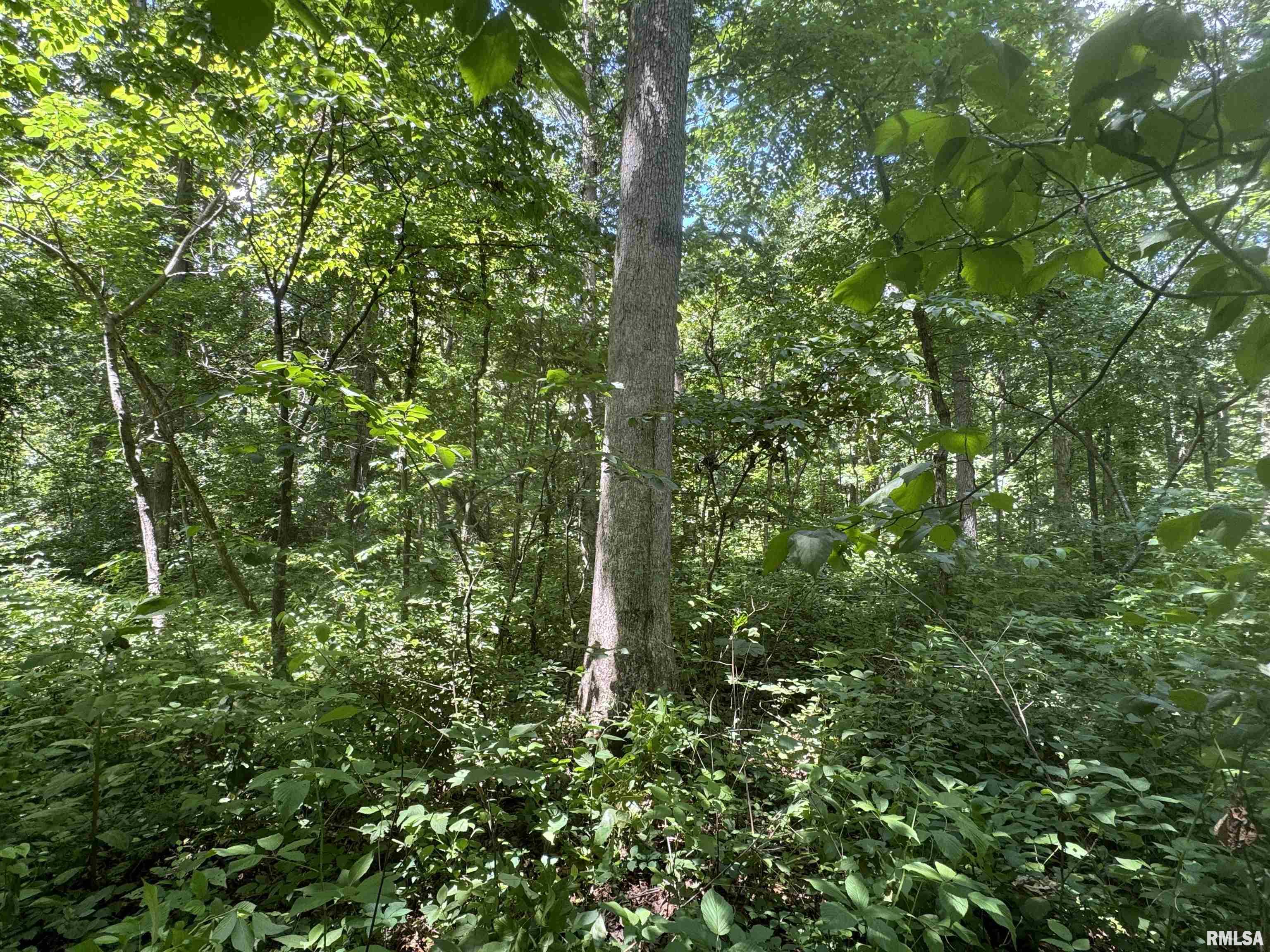 0 1325 N Road, Unit COUNTY Cisne, IL 62823 - Photo 24 of 28