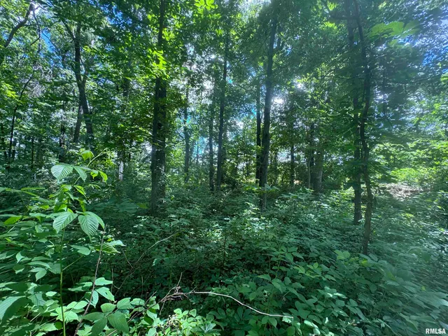 $325,000 | 0 1325 N Road, Unit COUNTY, Cisne, IL 62823