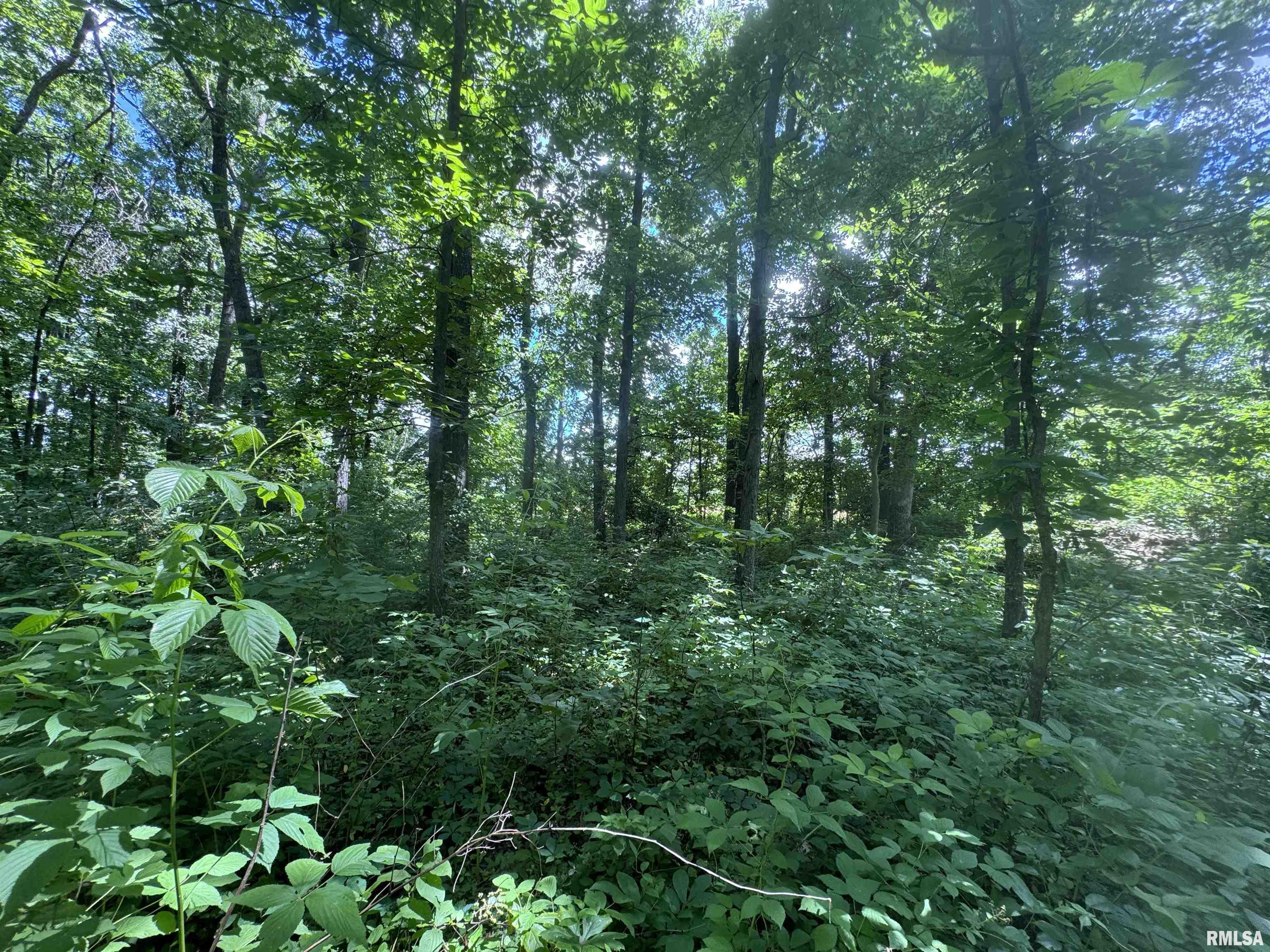 0 1325 N Road, Unit COUNTY Cisne, IL 62823 - Photo 25 of 28