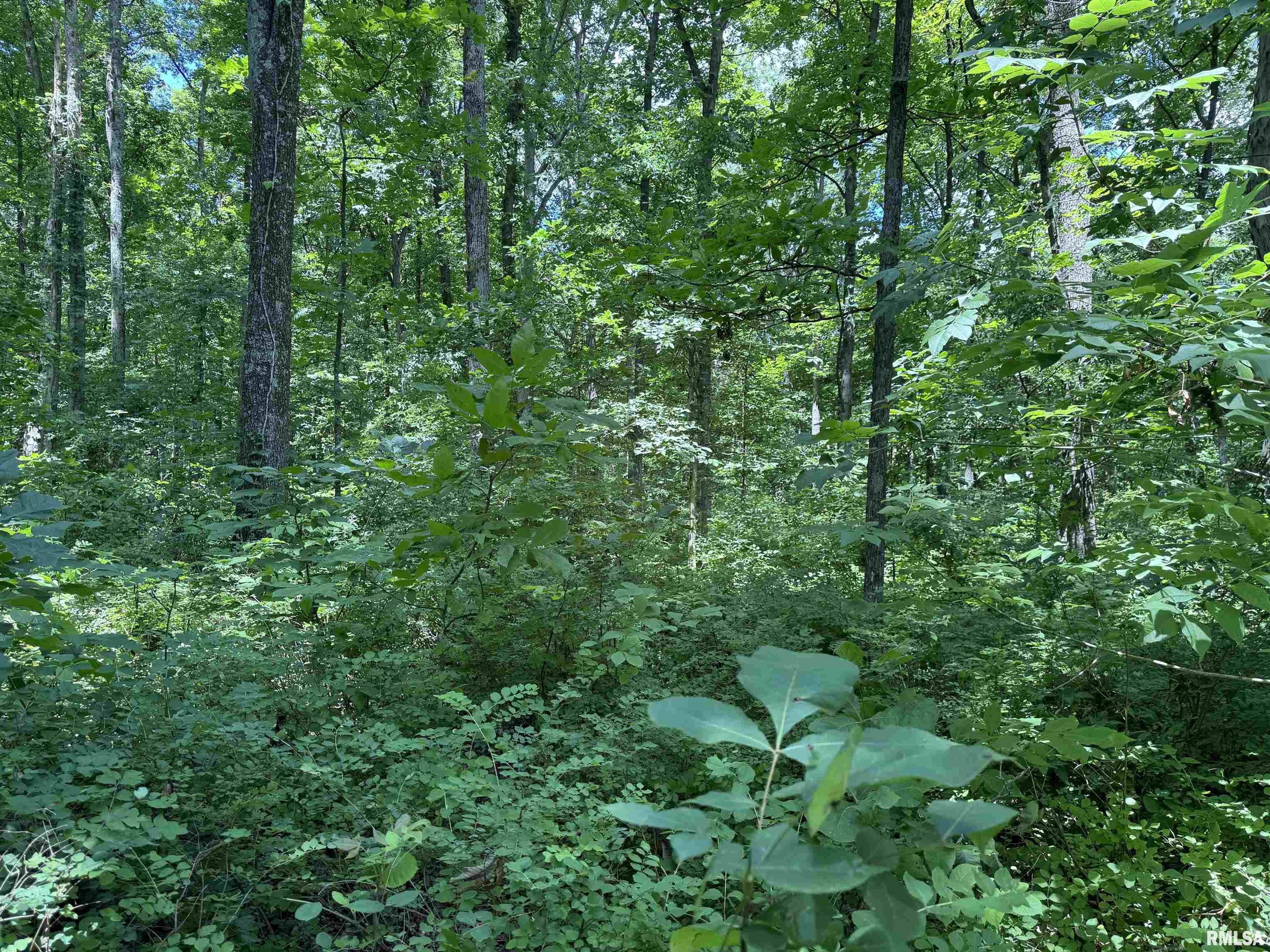 0 1325 N Road, Unit COUNTY Cisne, IL 62823 - Photo 26 of 28