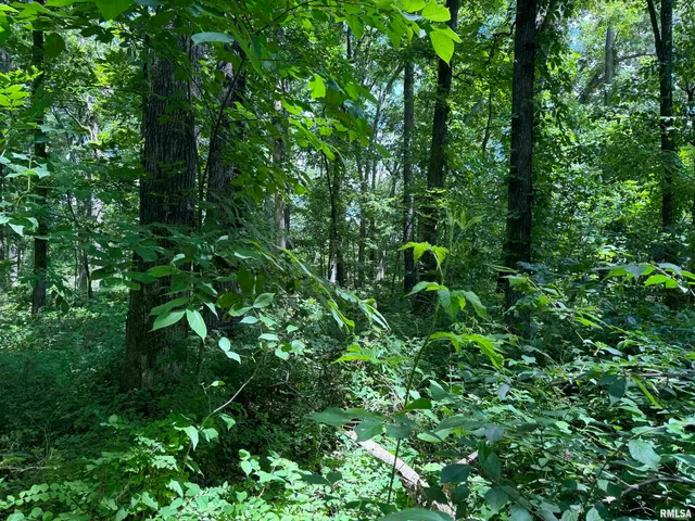 $325,000 | 0 1325 N Road, Unit COUNTY, Cisne, IL 62823