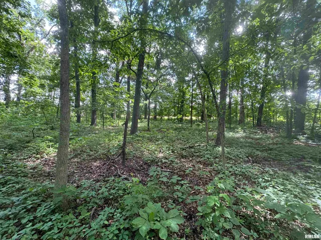 $325,000 | 0 1325 N Road, Unit COUNTY, Cisne, IL 62823