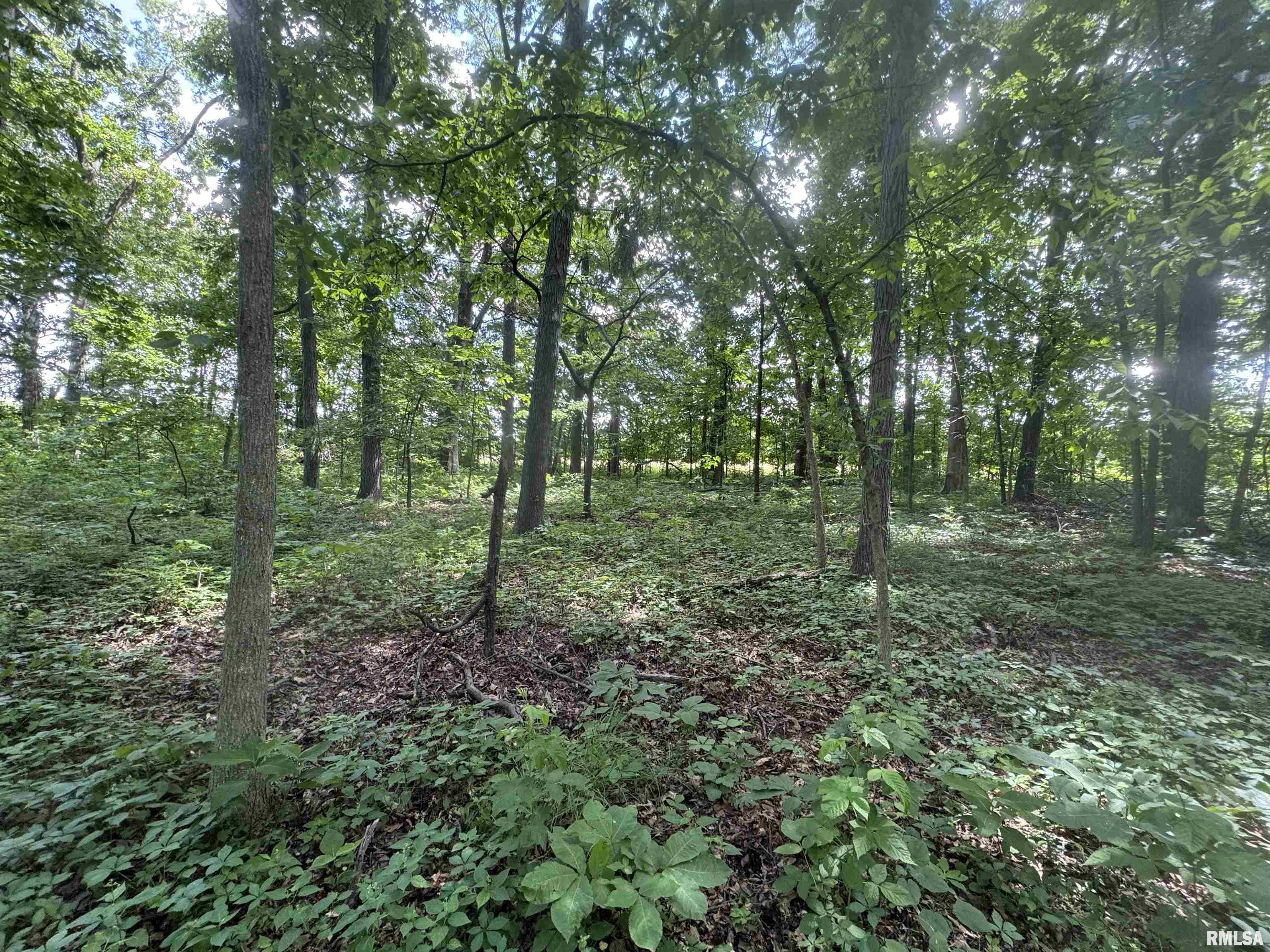 0 1325 N Road, Unit COUNTY Cisne, IL 62823 - Photo 28 of 28