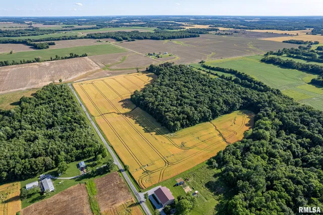 $325,000 | 0 1325 N Road, Unit COUNTY, Cisne, IL 62823