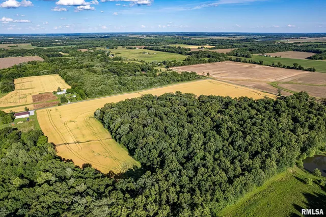 $325,000 | 0 1325 N Road, Unit COUNTY, Cisne, IL 62823