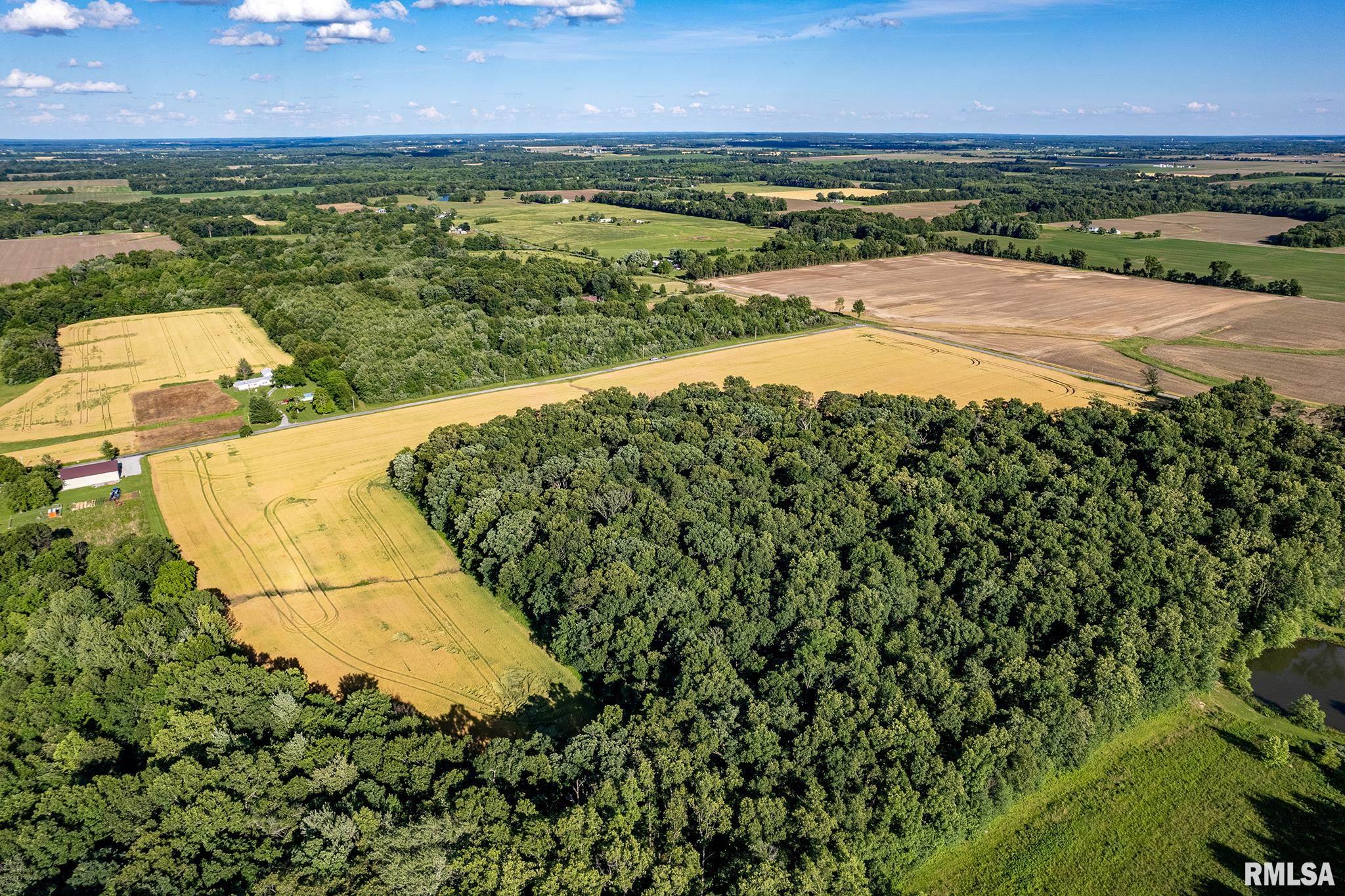 0 1325 N Road, Unit COUNTY Cisne, IL 62823 - Photo 7 of 28