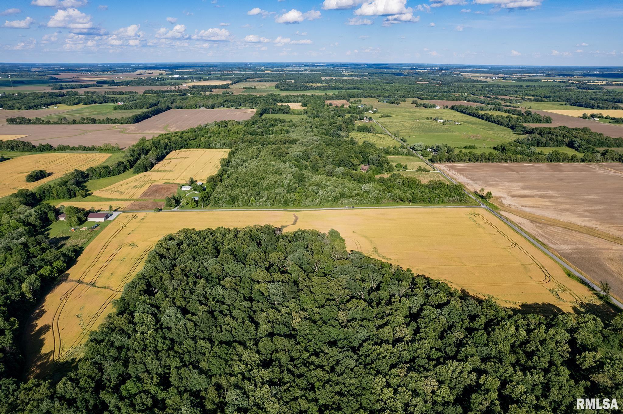 0 1325 N Road, Unit COUNTY Cisne, IL 62823 - Photo 8 of 28