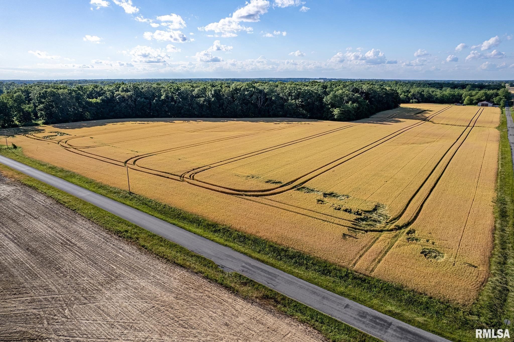 0 1325 N Road, Unit COUNTY Cisne, IL 62823 - Photo 10 of 28