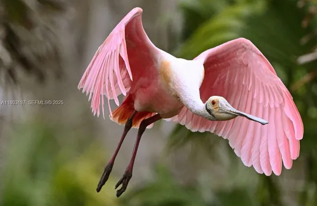 $22,599 | 5 Deck Court, Placida, FL 33946