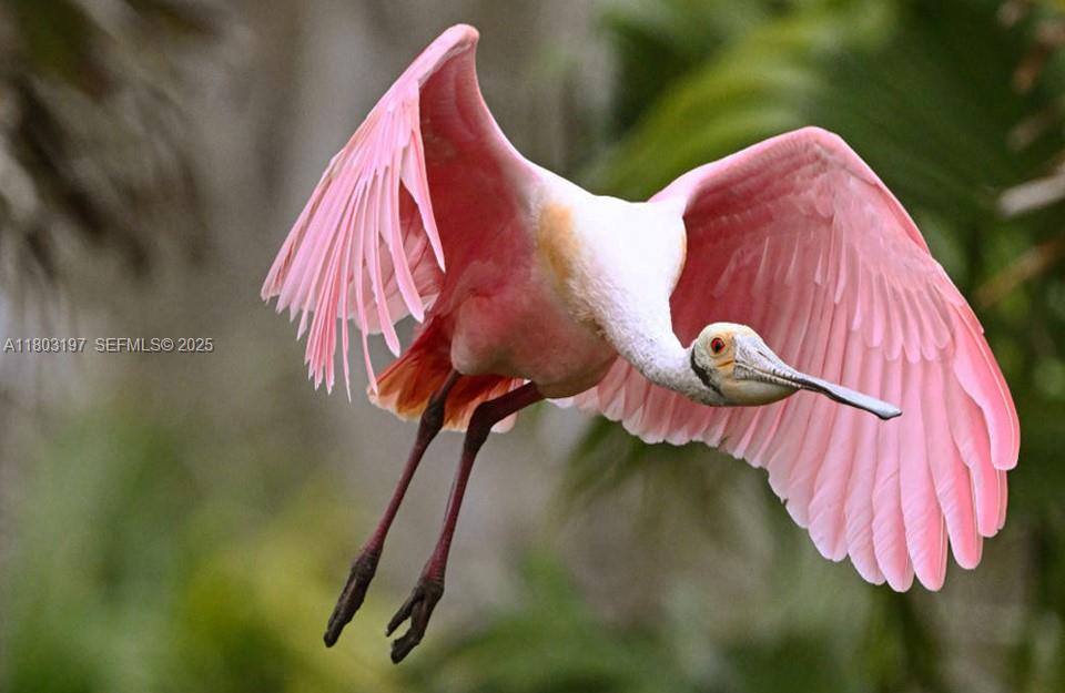 5 Deck Court Placida, FL 33946 - Photo 11 of 13