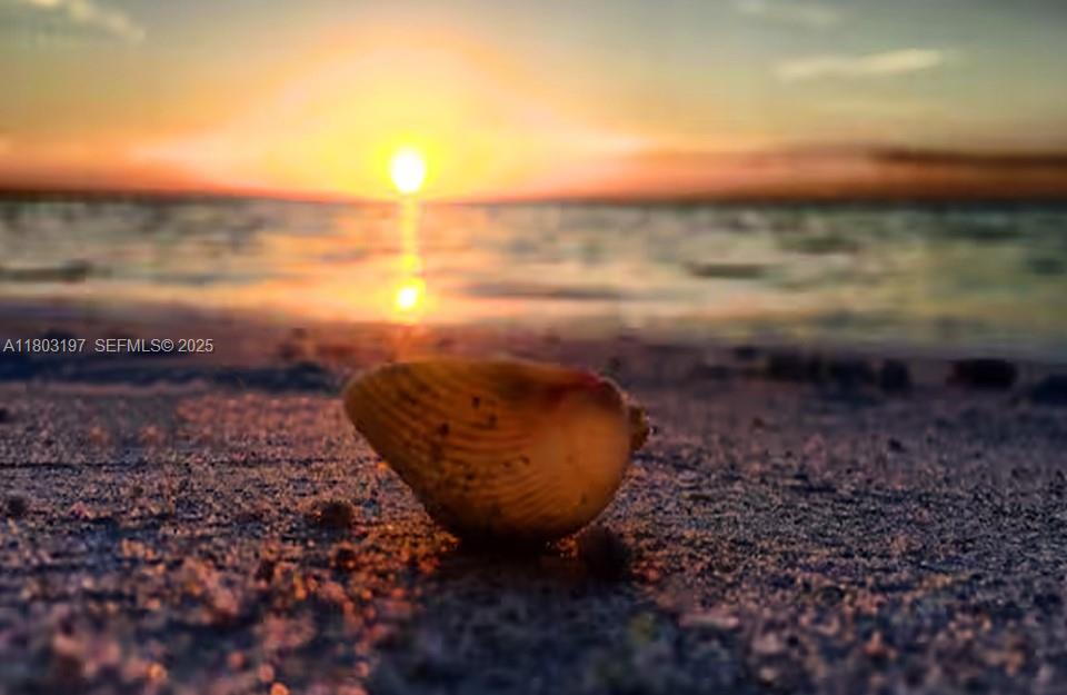 5 Deck Court Placida, FL 33946 - Photo 12 of 13 a view of a backyard of the house