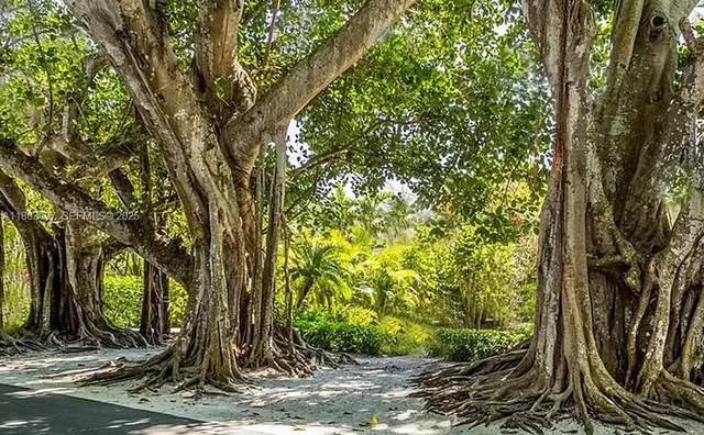 a view of a indoor basketball court
