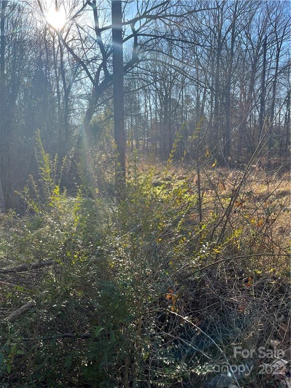 0 Carmel Road Lancaster, SC 29720 - Photo 1 of 2 Gallery Image 1