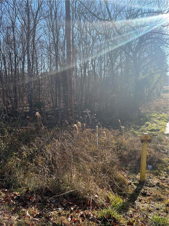 0 Carmel Road Lancaster, SC 29720 - Photo 2 of 2 Gallery Image 2