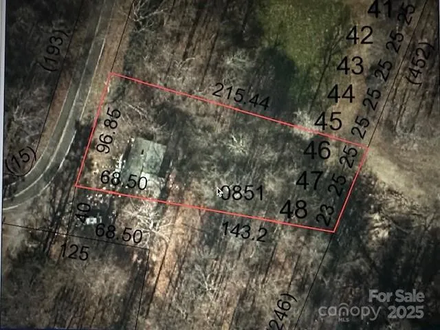 a close up of a plant