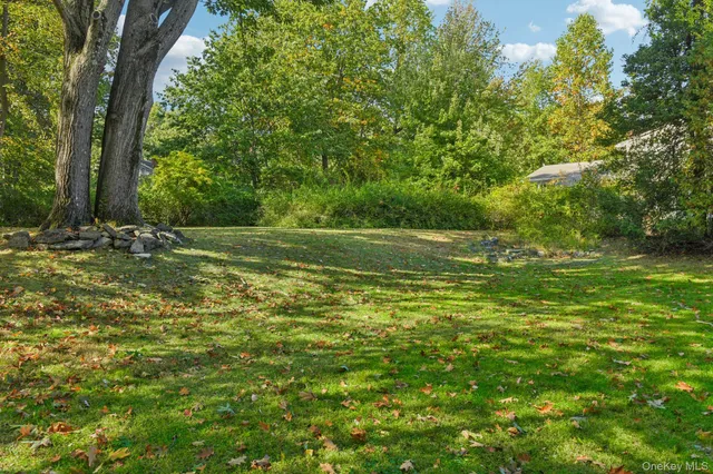 a view of outdoor space with trees all around