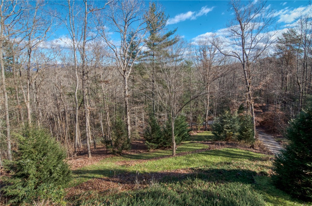 216 Wildcat Road, Unit PICKENS Pickens, SC 29671 - Photo 7 of 35