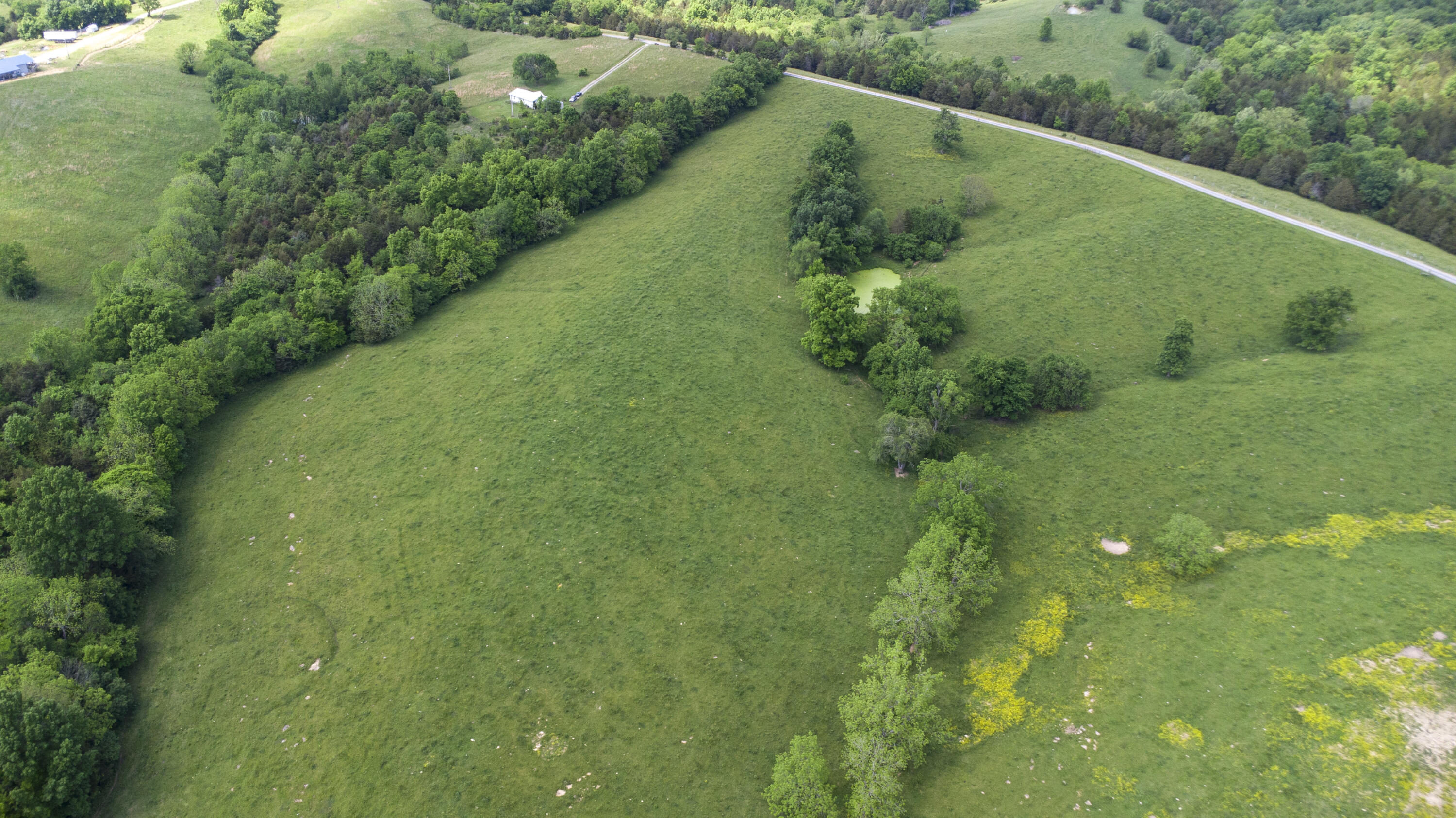 850 West Gardner Road Cynthiana, KY 41031 - Photo 30 of 45
