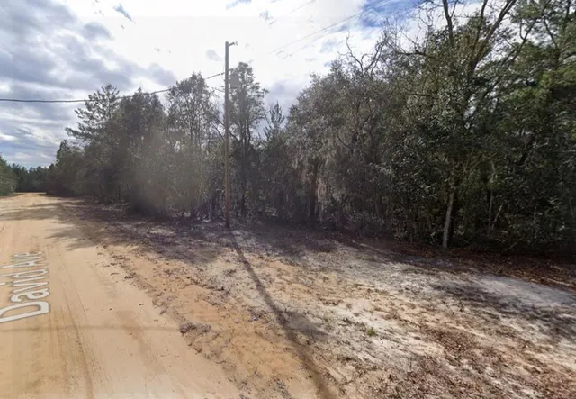 a view of a yard with trees