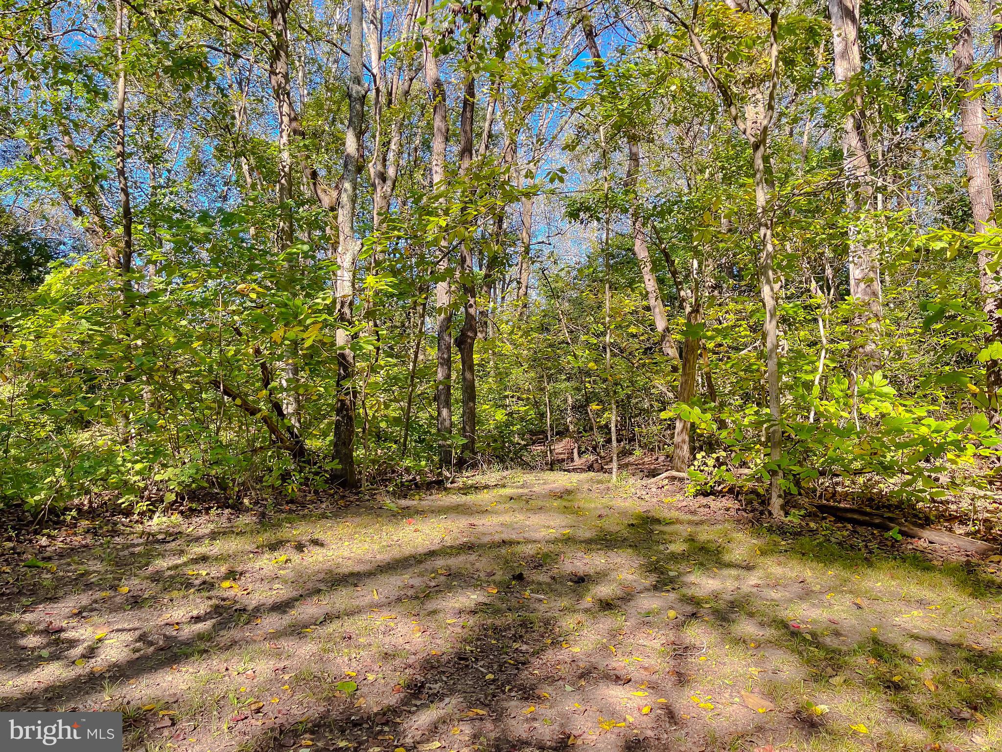 26005 Jones Wharf Road Hollywood, MD 20636 - Photo 58 of 66 a view of outdoor space and a yard
