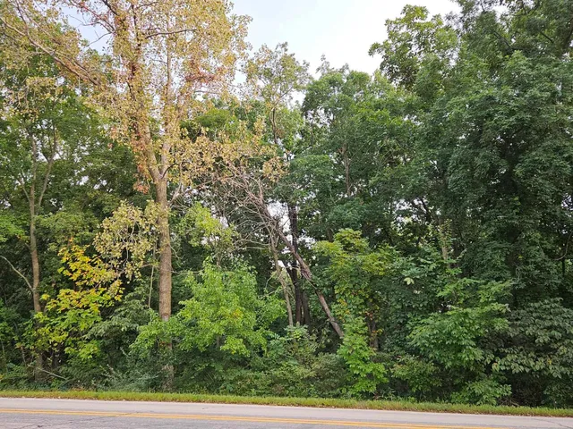 $13,500 | 241 Blackhawk Trace, Galena, IL 61036